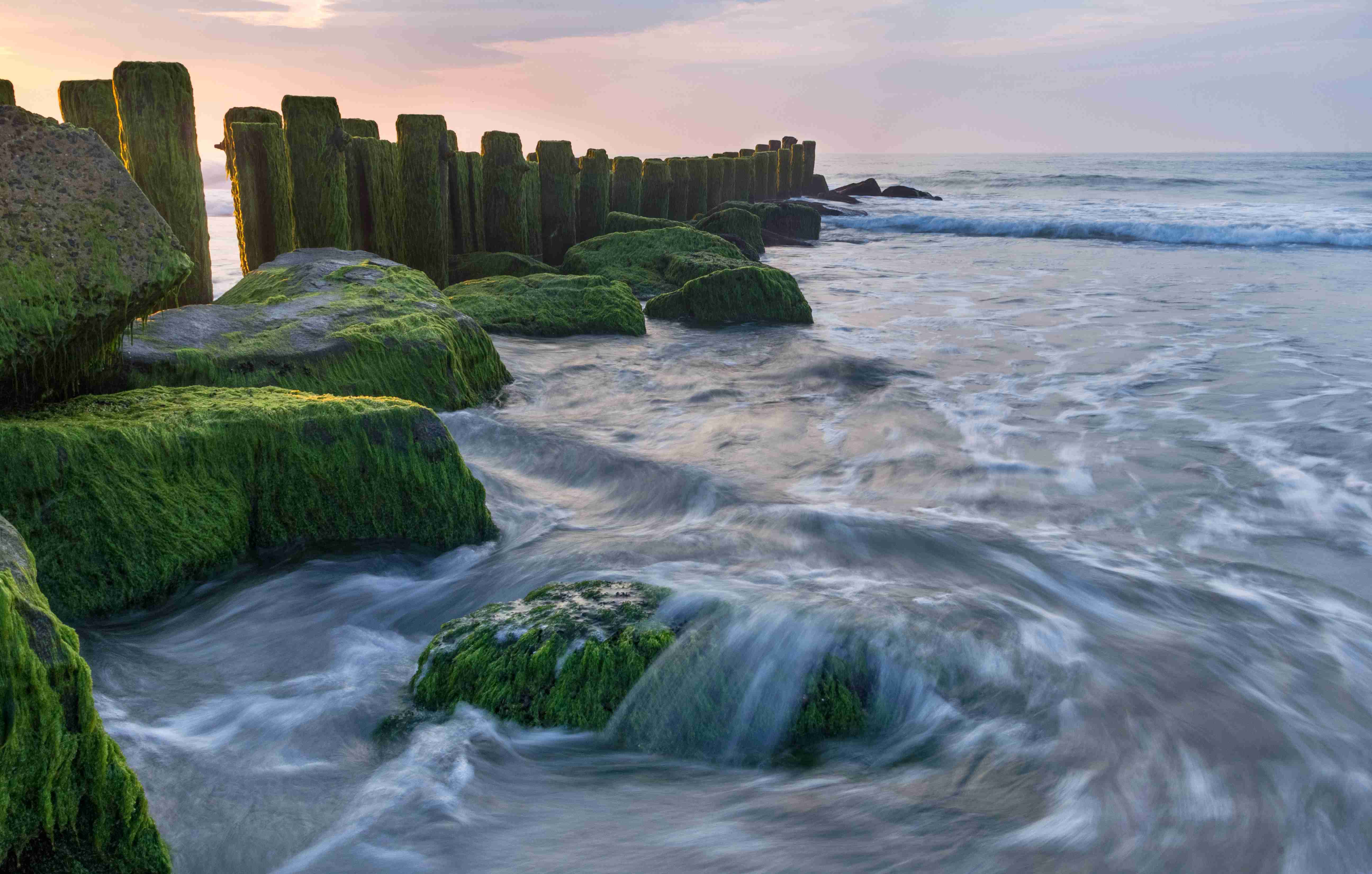 Moss covered pier at dawn. — Beach Haven, Long Beach Island, NJ.