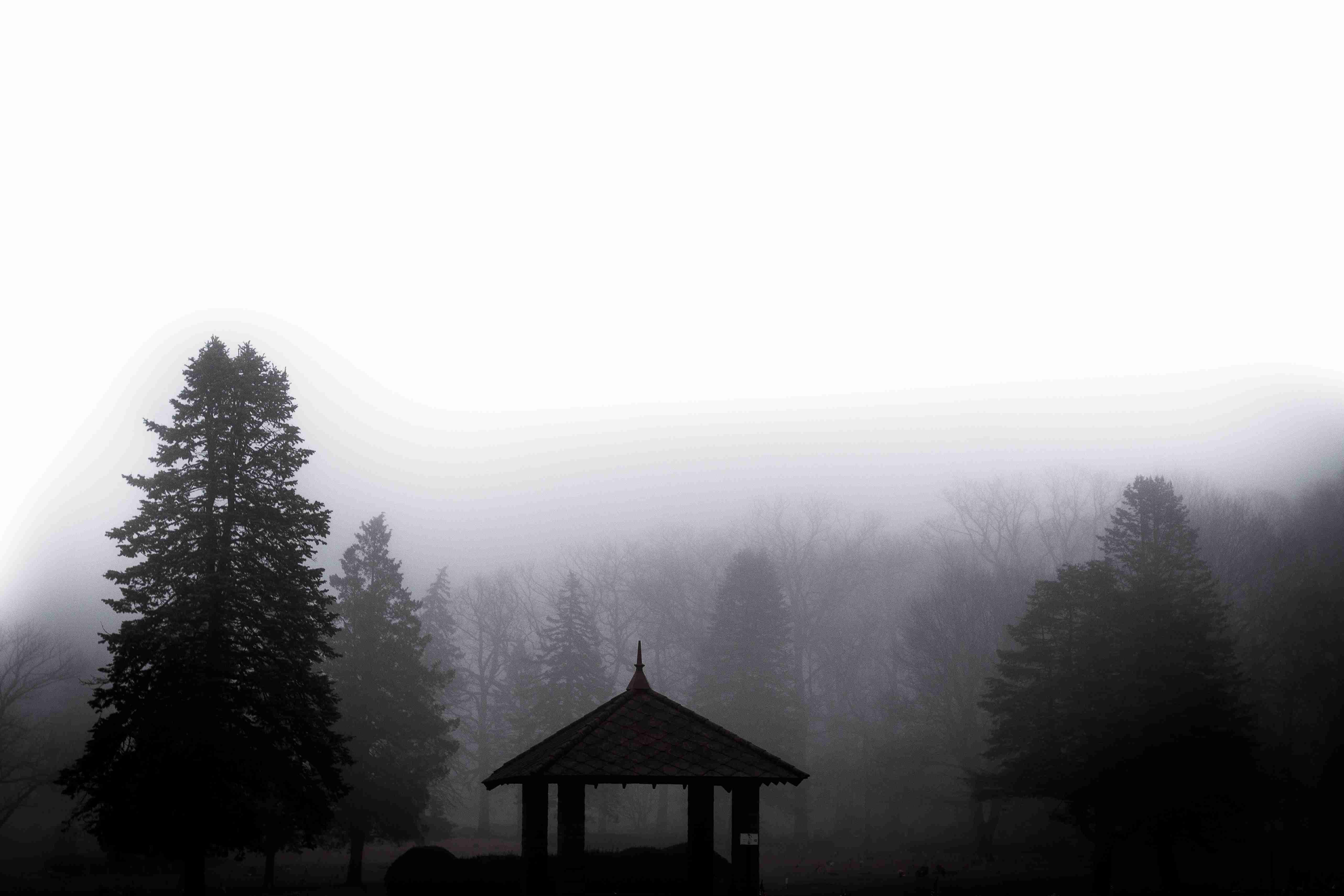 Misty cemetery silhouette. — Bethlehem, PA.